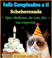 GIF Gato meme Feliz Cumpleaños Scheherezada
